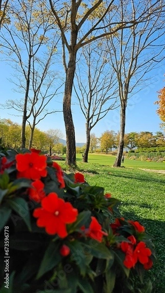 Obraz 한국의 화단