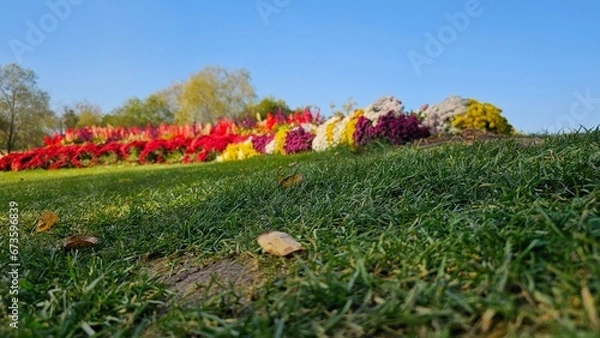 Obraz 한국의 화단