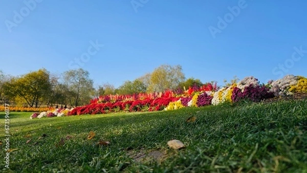 Obraz 한국의 화단