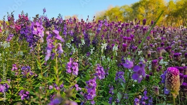 Obraz 한국의 화단