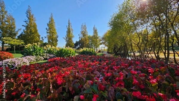 Fototapeta 한국의 화단