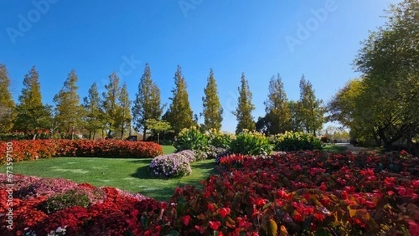 Fototapeta 한국의 화단