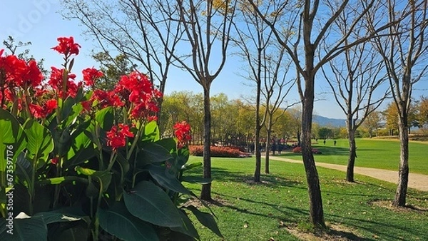 Fototapeta 한국의 화단