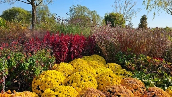 Obraz 한국의 정원