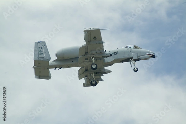 Obraz a10 on landing approach