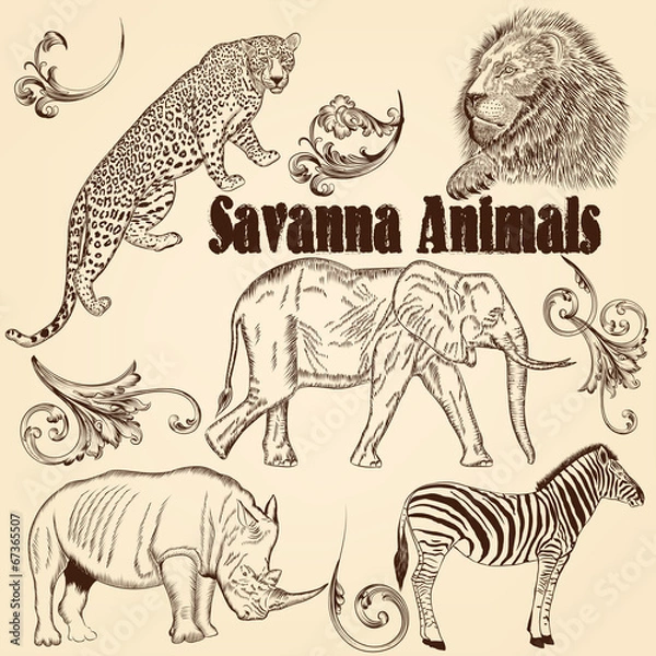 Fototapeta Collection of vector animals  African Savanna