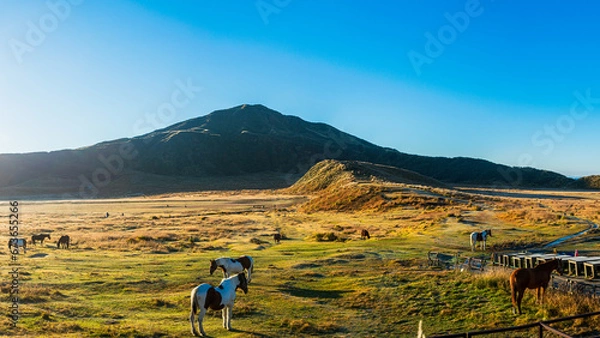 Fototapeta 草千里ヶ浜_噴煙を上げる中岳を望み烏帽子岳の北麓に広がり大きな池や放牧された馬など牧歌的な風景