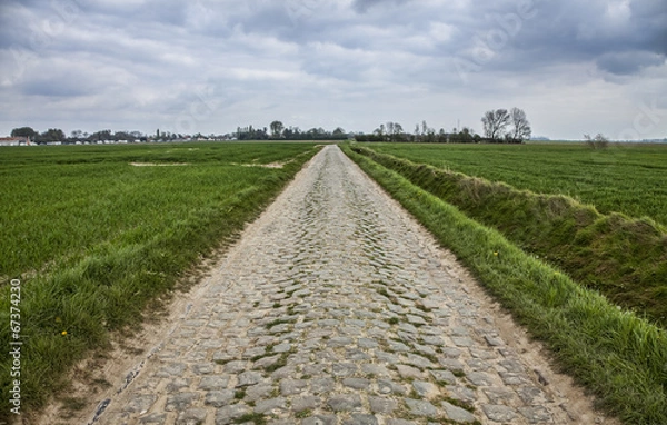 Fototapeta Cobbled Road