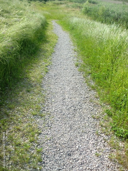 Obraz 草原の砂利道