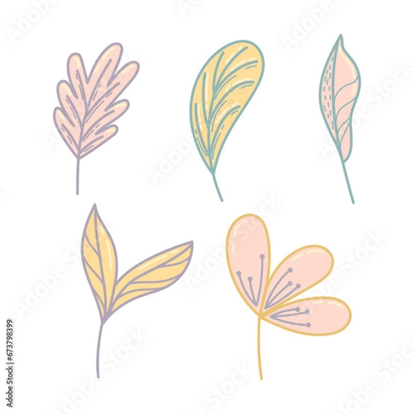 Fototapeta Botanical cute hand drawn illustration vector on white background