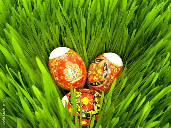 Obraz Easter eggs in the grass
