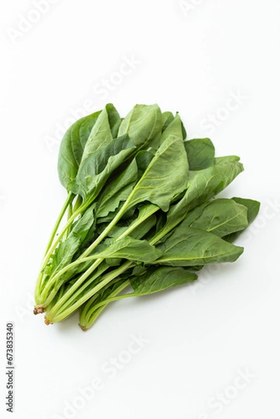 Fototapeta 白背景にホウレンソウ