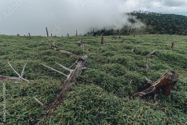 Fototapeta 大台ヶ原山