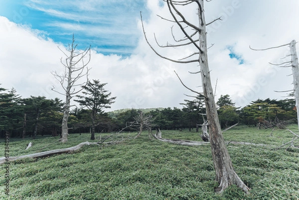 Fototapeta 大台ヶ原山