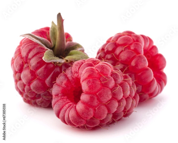 Obraz Ripe raspberries