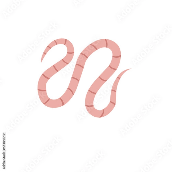 Fototapeta 
Pinworm Vector