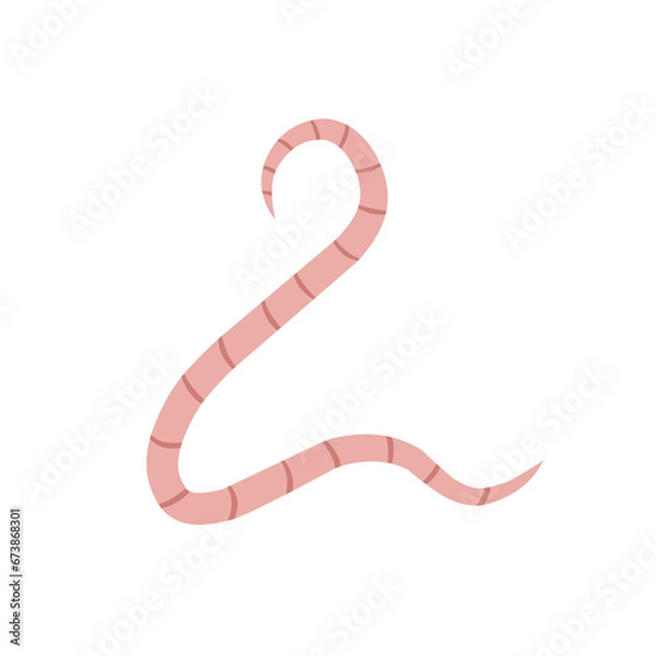 Fototapeta 
Pinworm Vector