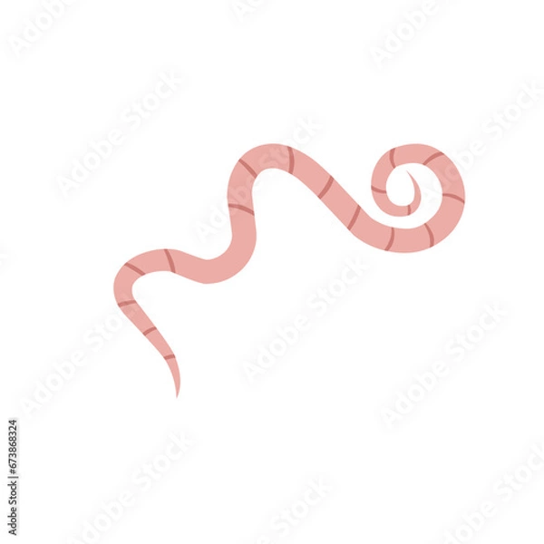 Fototapeta 
Pinworm Vector
