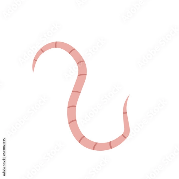 Fototapeta 
Pinworm Vector