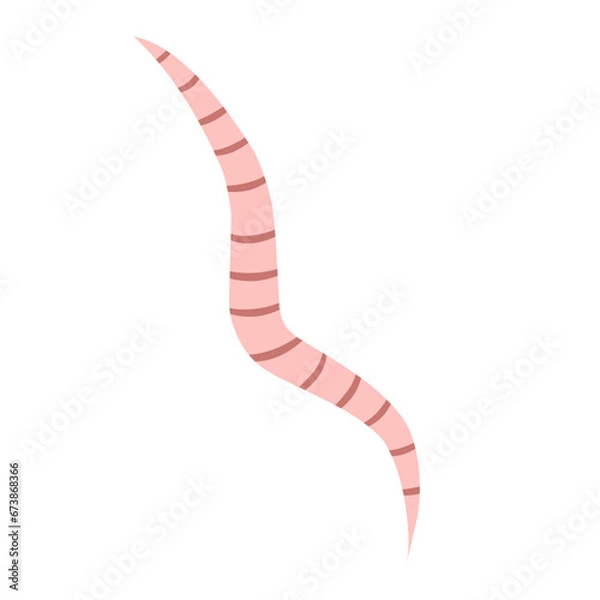 Fototapeta 
Pinworm Vector