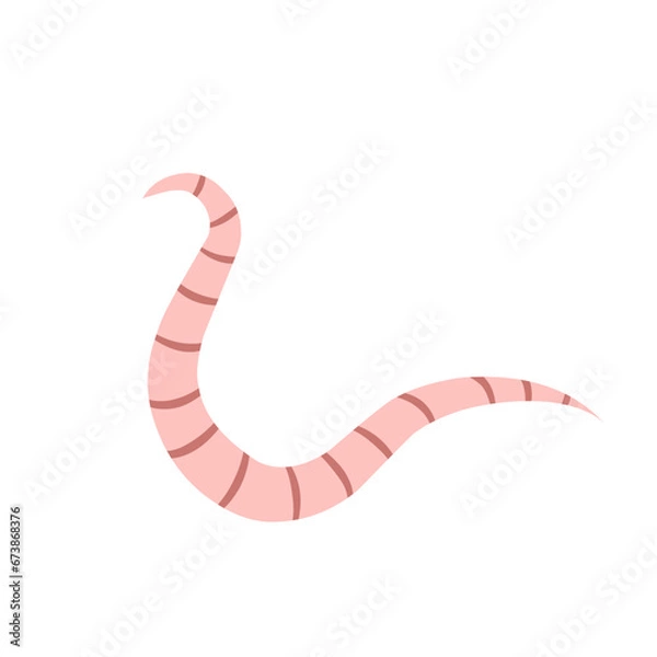Fototapeta 
Pinworm Vector