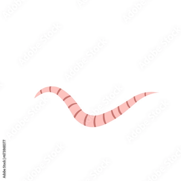 Fototapeta 
Pinworm Vector