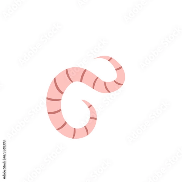 Fototapeta 
Pinworm Vector