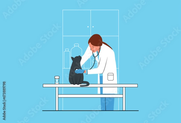 Obraz Pet Cat Looking at Veterinarian Checking Cat's Heartbeat with Stethoscope On Table In Veterinary Hospital Care Facility, Clinic, Check-Up, Visit