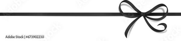 Obraz Ribbon in transparent background