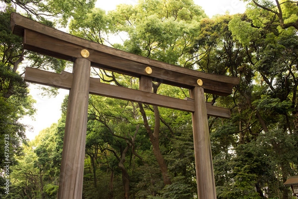 Obraz 明治神宮の鳥居