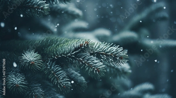 Fototapeta A background of fir branches on which snow is falling