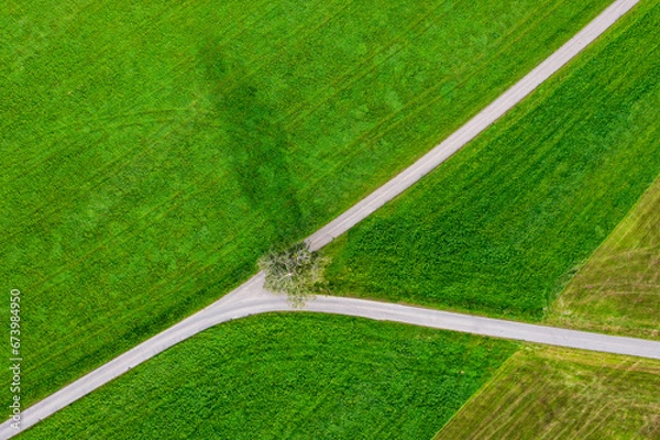 Fototapeta Abstract aerial view of fork road in a field and tree