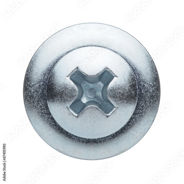 Obraz Screw head isolated on a white background