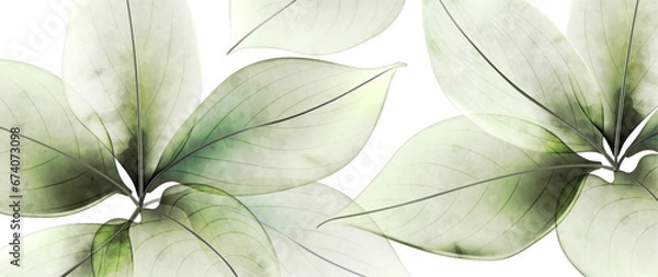 Obraz Abstract art background with transparent leaves of flowers or trees in green color. Nature vector banner in watercolor style for decoration, print, textile, interior design, wallpaper