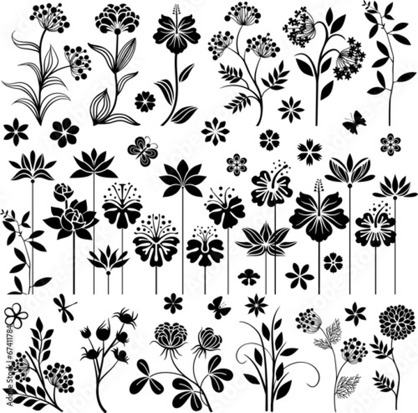 Fototapeta Czarny komplet kwiatowy I