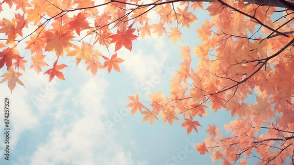 Fototapeta autumn leaf fall, falling leaves on the background of a light blue autumn sky, yellow and red leaves flying from the sky, view up
