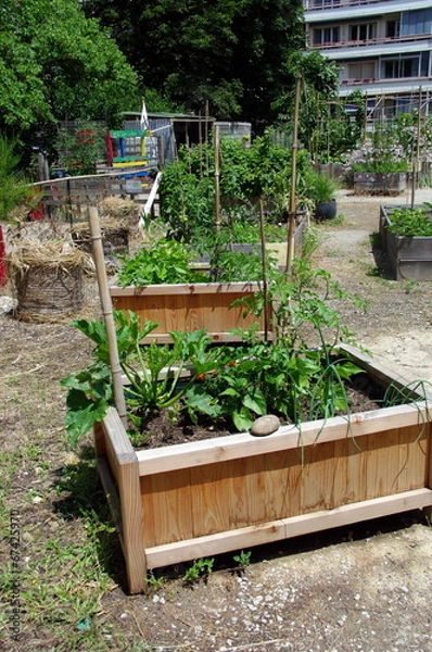 Obraz carré potager