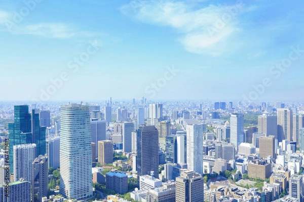 Obraz 東京タワーからの眺め