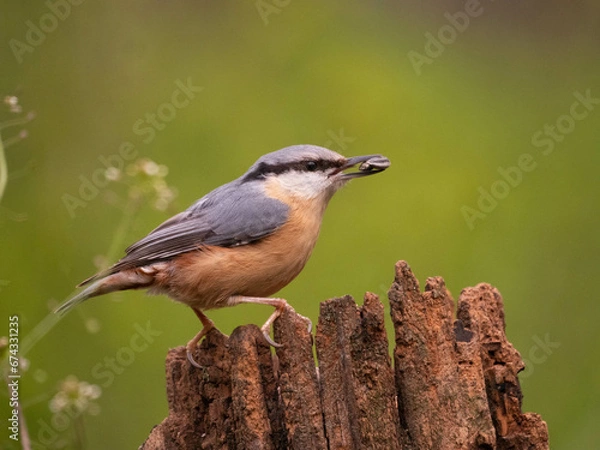 Obraz OLYMPUS DIGITAL CAMERA