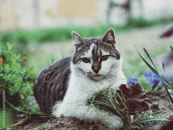 Obraz OLYMPUS DIGITAL CAMERA