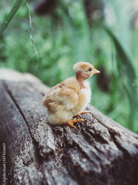 Obraz OLYMPUS DIGITAL CAMERA