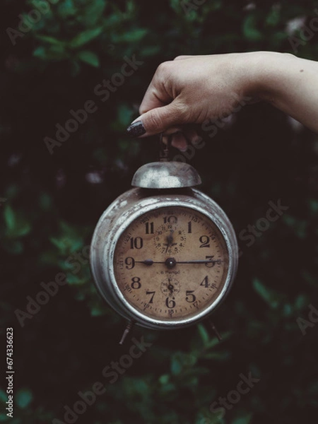 Obraz OLYMPUS DIGITAL CAMERA