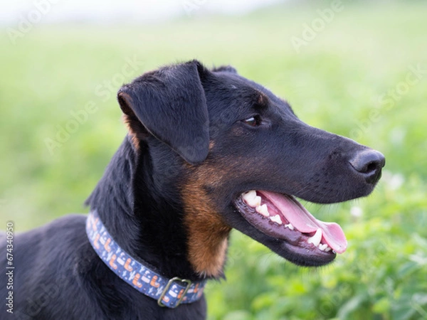 Obraz OLYMPUS DIGITAL CAMERA