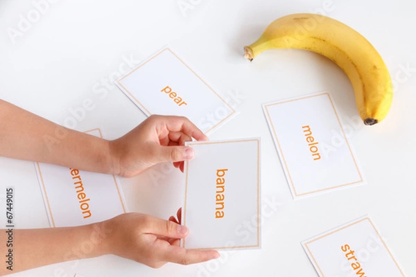 Obraz 英単語の学習