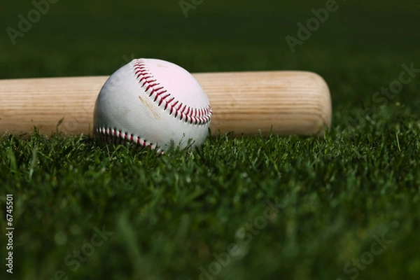 Obraz Baseball and Bat