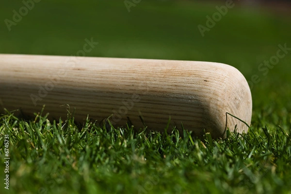 Obraz Baseball Bat