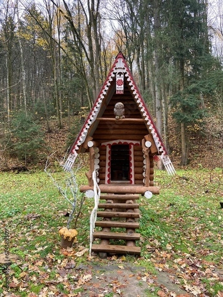 Obraz house in the woods