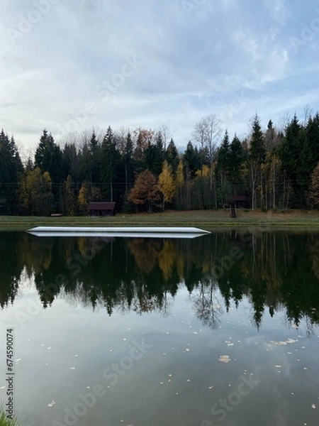 Obraz lake in the park