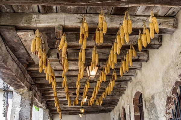 Fototapeta Cité médievale de Pérouges