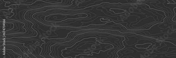 Fototapeta Background of the topographic map. Topographic map lines, contour background. Geographic abstract grid. EPS 10 vector illustration.